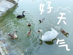 -杭州野生动物世界