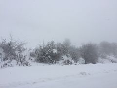 -太子岭滑雪场