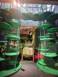 -恐龙探索乐园(磁器口店)