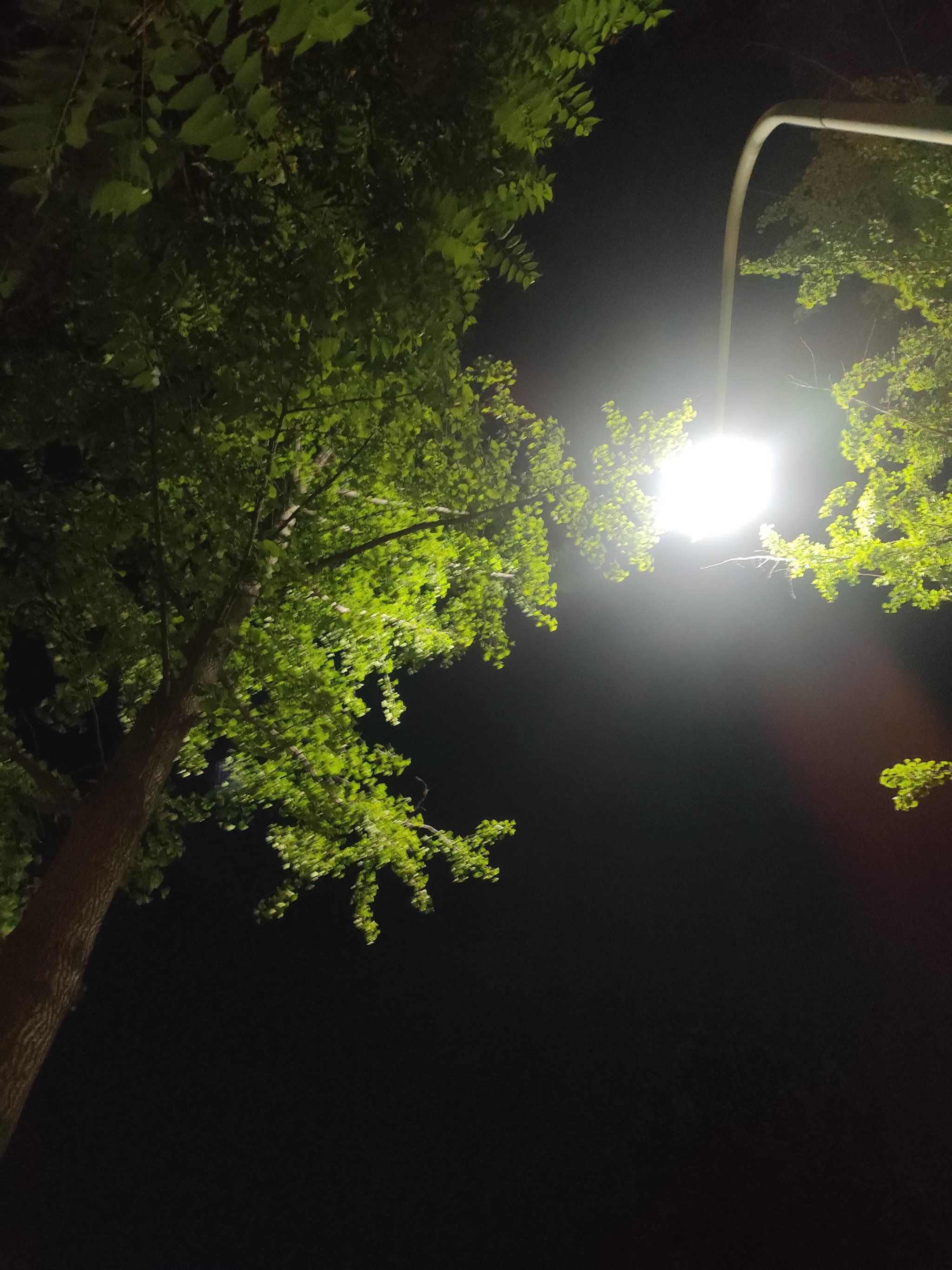 夜色中的一抹光