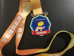 -艾克瑞特机器人教育(金狮校区)
