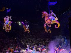 -海合安武汉极地海洋公园