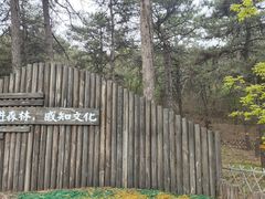 -北京西山国家森林公园