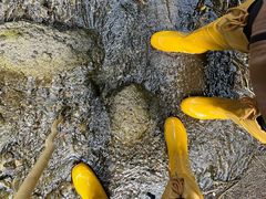 -峡谷浮石林景区
