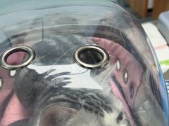 -纳吉亚猫专科动物诊疗中心(蒋宅口分院)