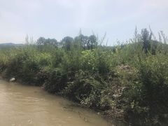 -紫荆关长城漂流