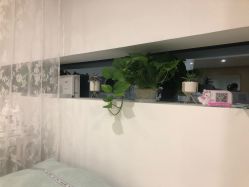 -初樱科技美学问题肌修复中心