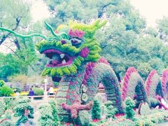 -汇龙潭