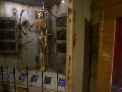 -信不信由你博物馆