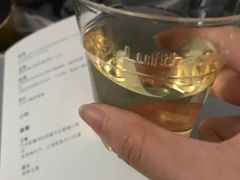 -德国汉莎航空公司