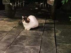 -Carmen卡门西班牙餐厅