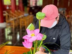 -国家植物园南园