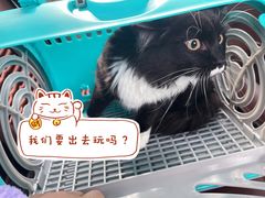 -瑞派天使宠物医院·神经外科·骨科·核磁(洛川中路店)