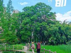 -成都市活水公园