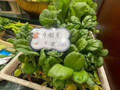-丽苑大酒店