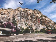 -西霞口神雕山野生动物世界