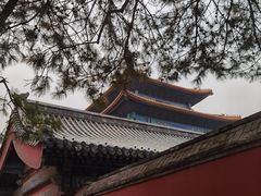 -故宫博物院(故宫)