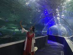 -富国岛珍珠游乐园