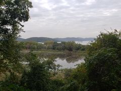 -上海市保健医疗中心