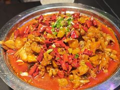 秘制馋嘴牛蛙-美蛙四季(黄寺大街店)