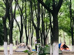 -奥林匹克森林公园北园-停车场