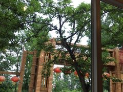 -荣德灶台鱼(圣泉寺店)