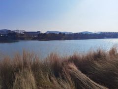 -羊山湖公园