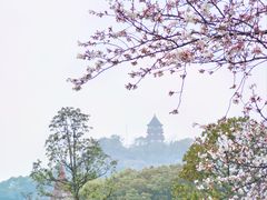 -上海辰山植物园