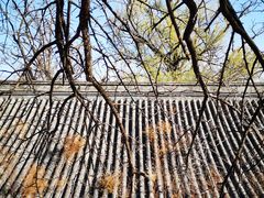 -阳台山自然风景区