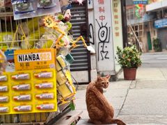 -香港华美达海景酒店