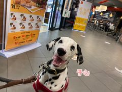 -万达广场(济南魏家庄店)