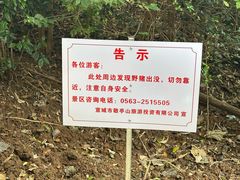 -敬亭山风景名胜区