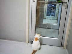 -谐和益家动物医院·免疫绝育·血液透析·宠保定点医院(高新伊藤分院)