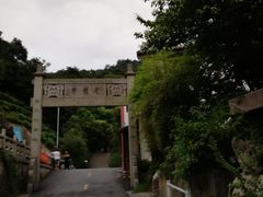 -十八棵（老龙井）御茶园(老龙井店)