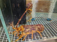 -喜来酌海鲜·饺子(和平一店)