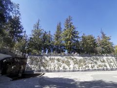 -彩色沙林风景区