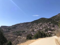 -北京西山国家森林公园