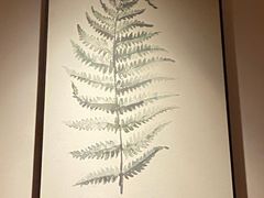 -沐善人家中医·推拿·理疗·三伏灸(新洲店)