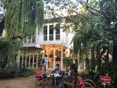 -Fern Forest Cafe