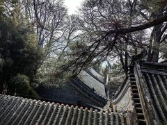 -潭柘寺景区