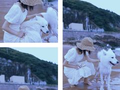 -枸杞岛