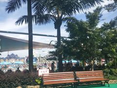 -苏州乐园森林水世界