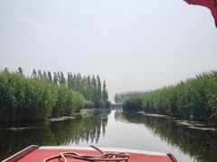 -白洋淀景区