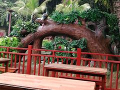 -西双版纳原始森林公园