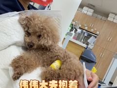 -美联众合动物医院·24h京西诊疗中心