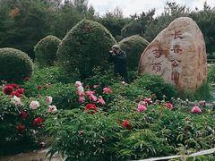 -长春公园(普阳街道)