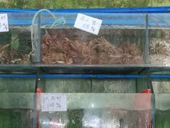 石头蟹-八方海味餐厅