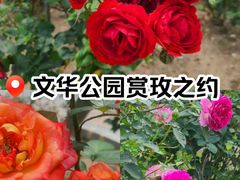 -文华公园(禅城区)