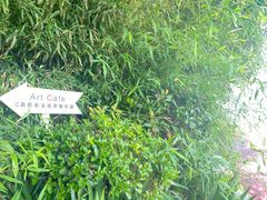 -莫内艺术岛海景咖啡