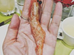 -北上海大酒店-北鸥西餐厅